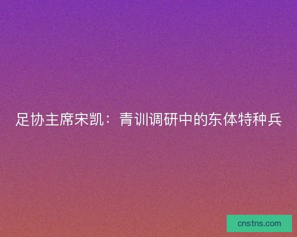 足协主席宋凯：青训调研中的东体特种兵