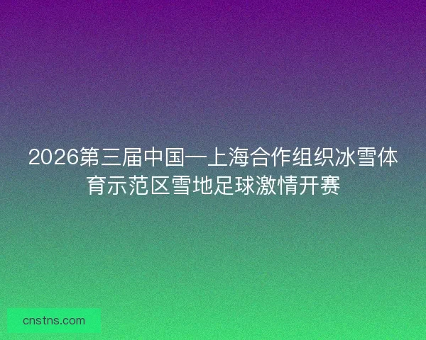 2026第三届中国—上海合作组织冰雪体育示范区雪地足球激情开赛 2026第三届中国—上海合作组织冰雪体育示范区雪地足球激情开赛