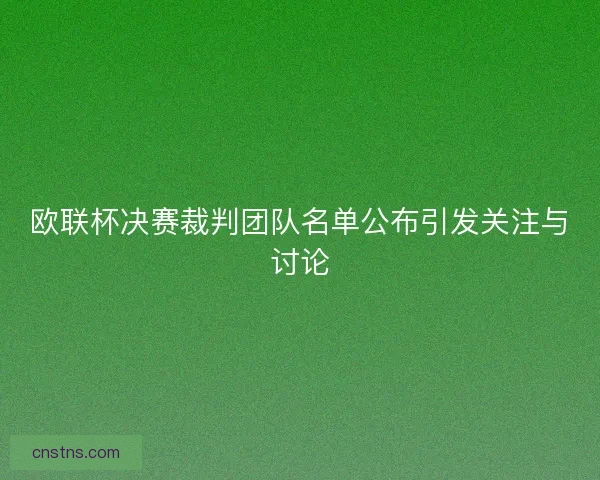 欧联杯决赛裁判团队名单公布引发关注与讨论