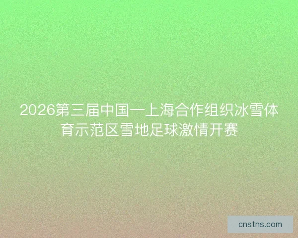 2026第三届中国—上海合作组织冰雪体育示范区雪地足球激情开赛 2026第三届中国—上海合作组织冰雪体育示范区雪地足球激情开赛