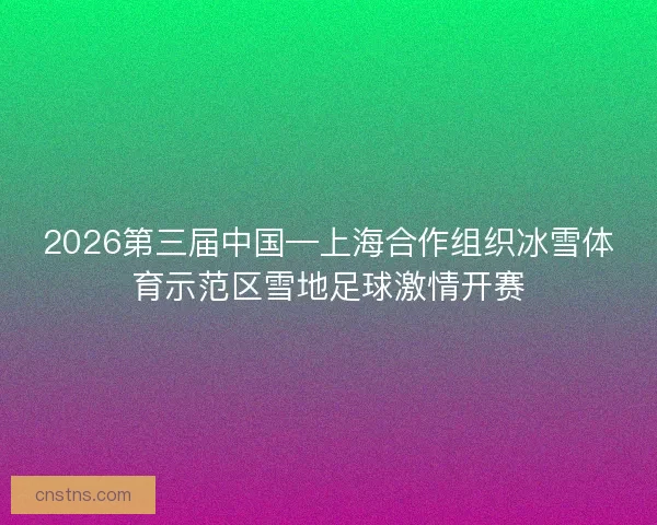 2026第三届中国—上海合作组织冰雪体育示范区雪地足球激情开赛