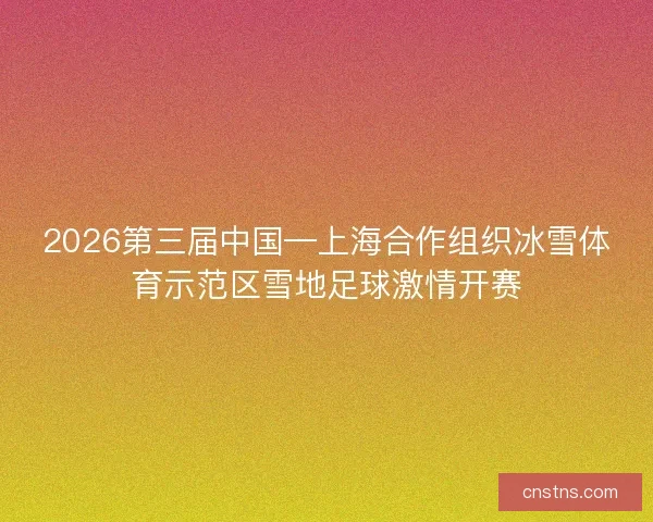2026第三届中国—上海合作组织冰雪体育示范区雪地足球激情开赛