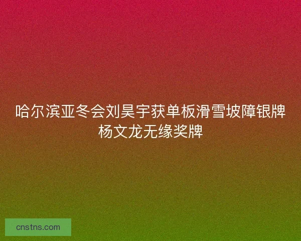 哈尔滨亚冬会刘昊宇获单板滑雪坡障银牌杨文龙无缘奖牌